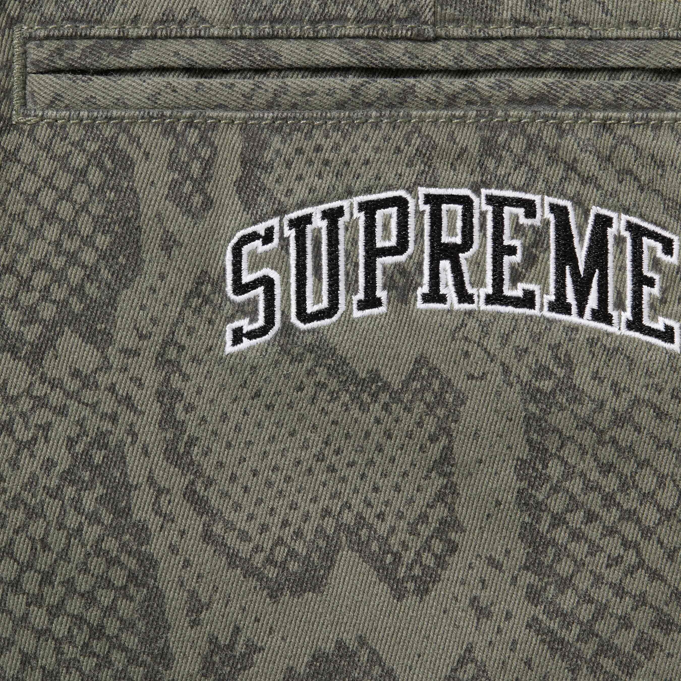 Snake Print Chino Pant view 11